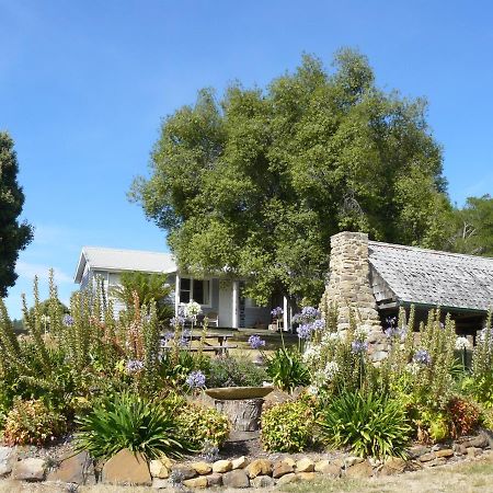 Sassafras Springs Hotel Ellendale Luaran gambar