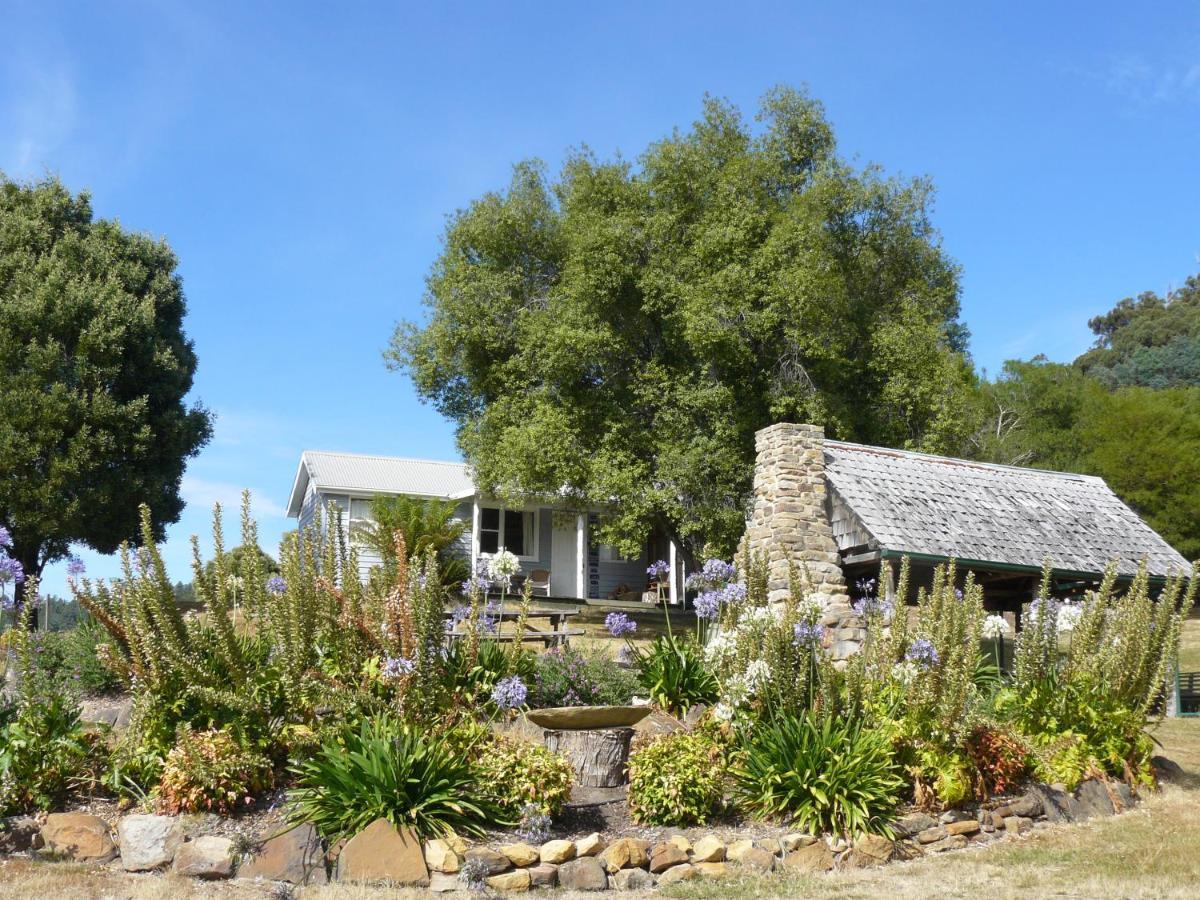 Sassafras Springs Hotel Ellendale Luaran gambar